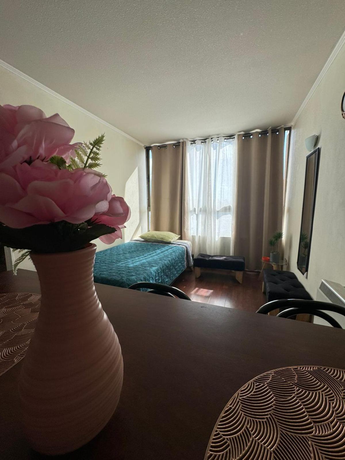 Apartamentos Orquidea Suite ซานติอาโก ภายนอก รูปภาพ
