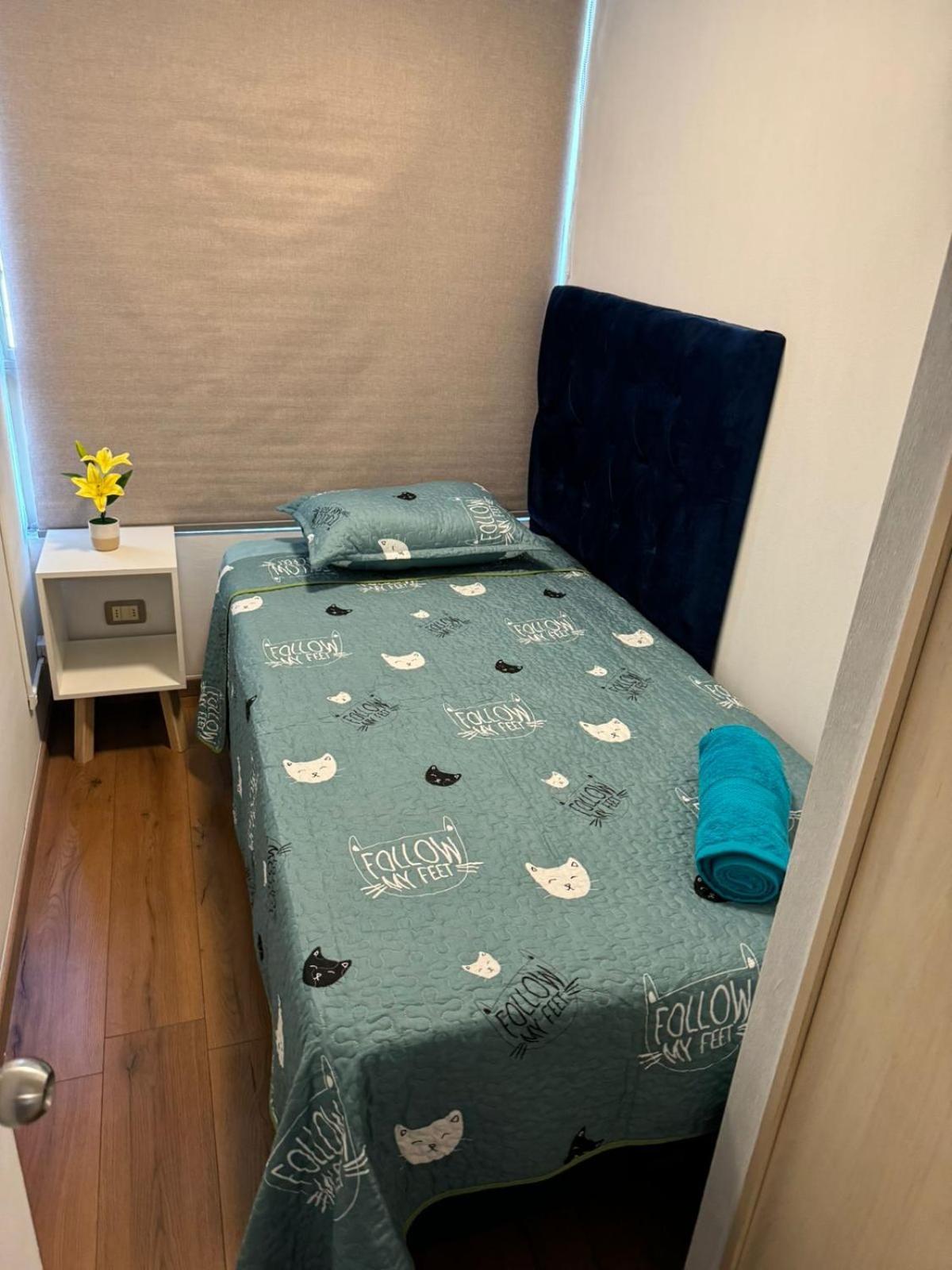 Apartamentos Orquidea Suite ซานติอาโก ภายนอก รูปภาพ